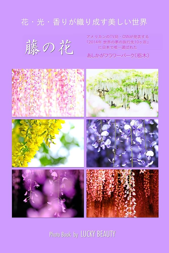 ari作   題名「藤の花」 ari作 題名「藤の花」